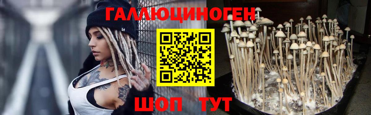 Галлюциногенные грибы прущие грибы  даркнет сайт  Альметьевск  Вход с VPN 